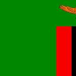 Flag of zambia
